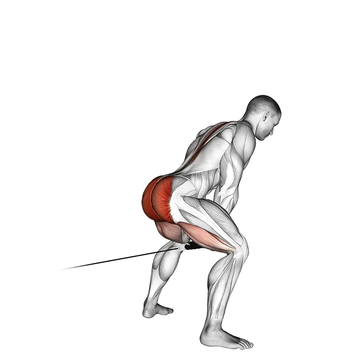 Cable Pull Through (with rope) exercise animation (Male)