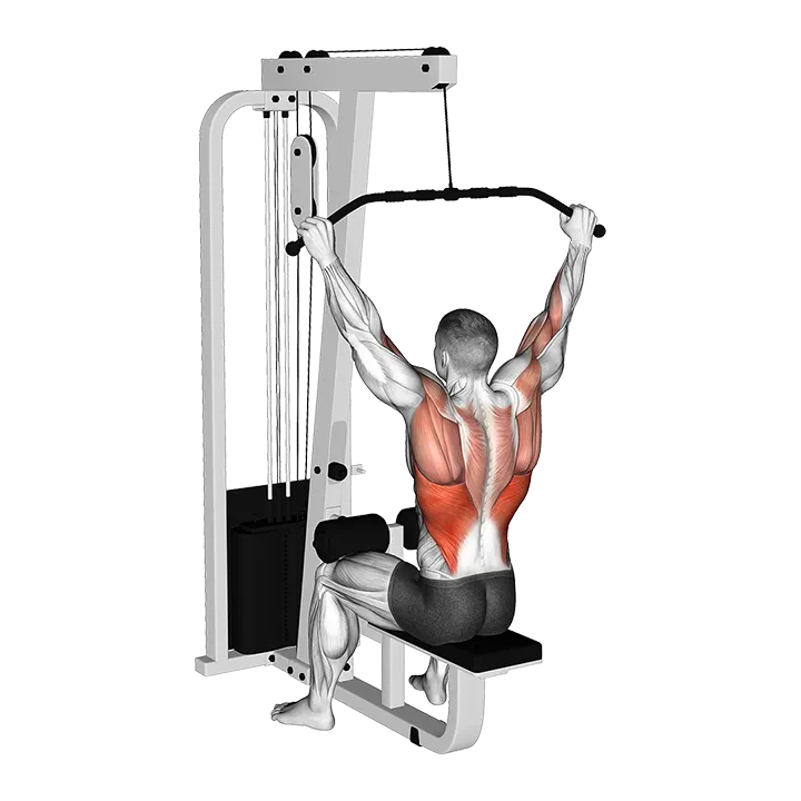 Cable Wide Pulldown exercise animation (Male)