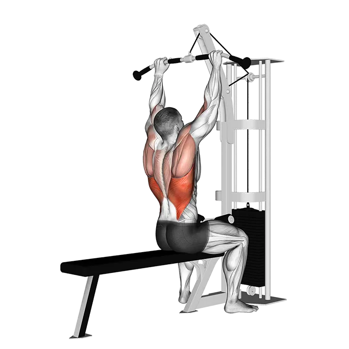 Cable Pulldown exercise animation (Männlich)