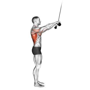 Cable Pushdown (straight arm) (version 2)
