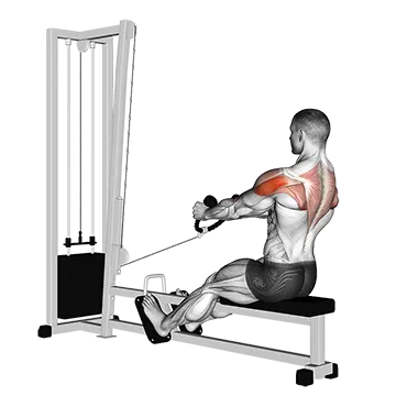 Cable Rear Delt Row (stirrups)