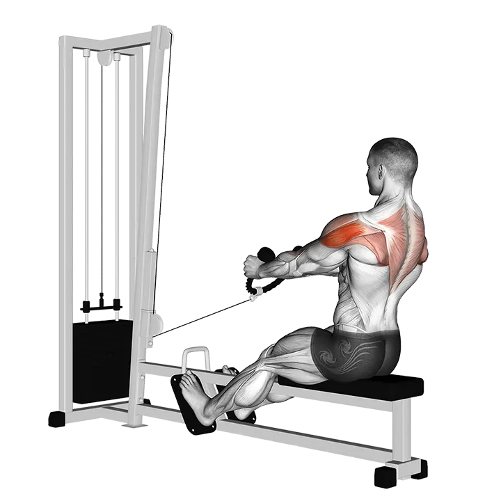 Cable Rear Delt Row (stirrups) exercise animation (Male)
