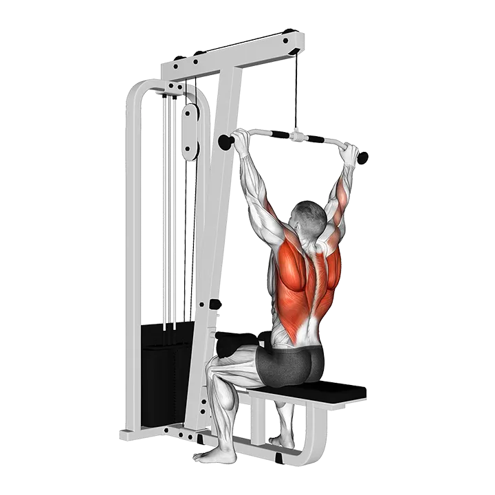 Cable Rear Pulldown exercise animation (Male)