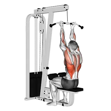 Cable Reverse-grip Straight Back Seated High Row