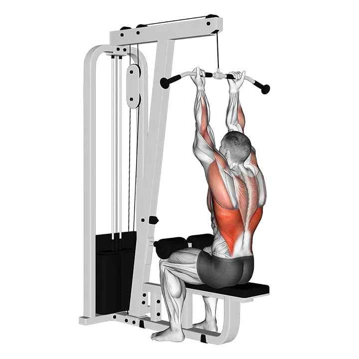 Cable Reverse-grip Straight Back Seated High Row exercise animation (Male)