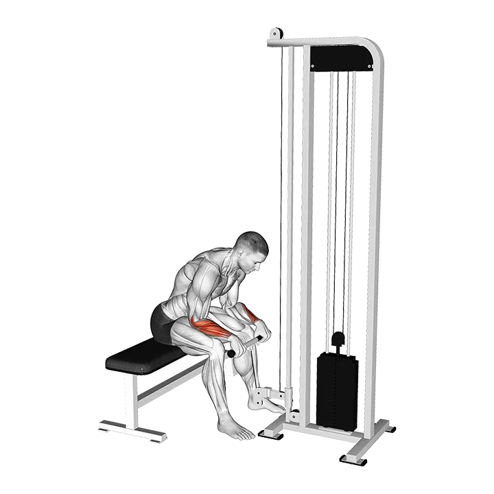 Cable Reverse Wrist Curl exercise animation (Male)