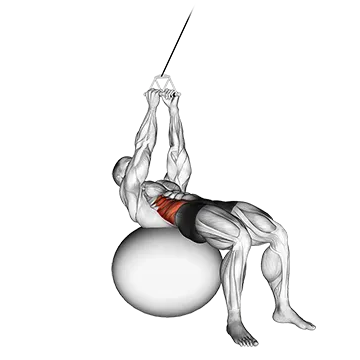 Cable Russian Twists (on stability ball)
