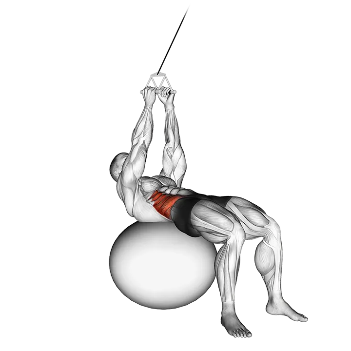 Cable Russian Twists (on stability ball) exercise animation (Male)