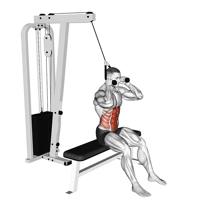 Cable Seated Crunch exercise animation (Male)