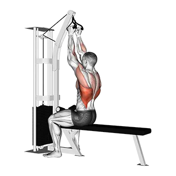 Cable Seated High Row (V-bar)