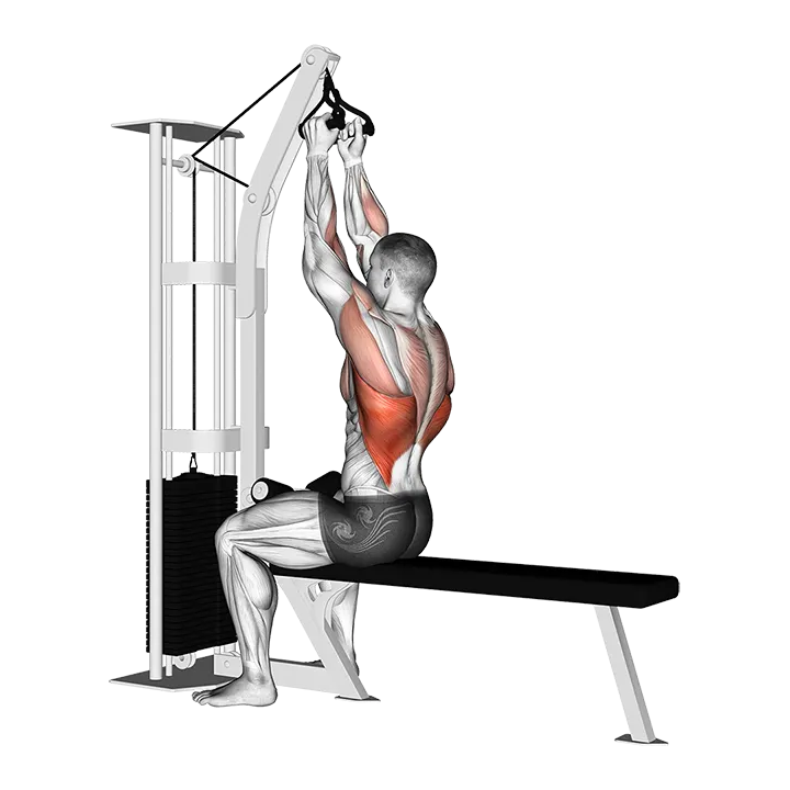 Cable Seated High Row (V-bar) exercise animation (Männlich)