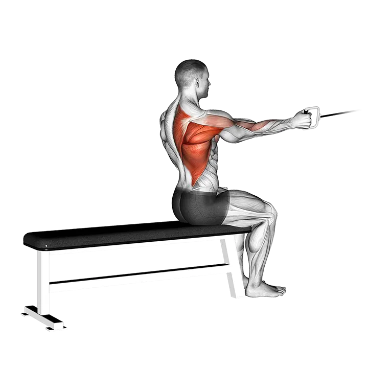 Cable Seated One Arm Alternate Row exercise animation (Male)