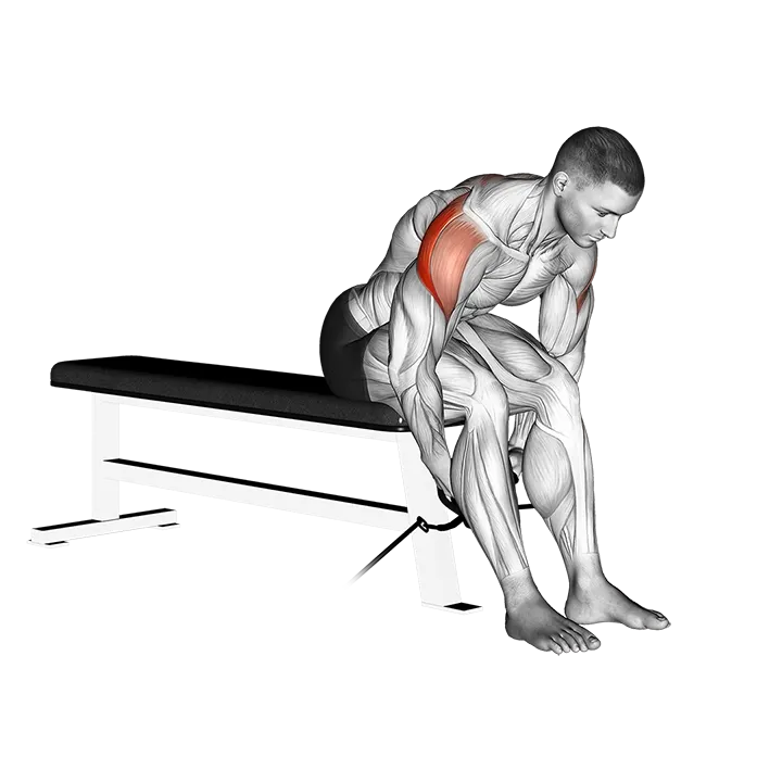 Cable Seated Rear Lateral Raise exercise animation (Male)