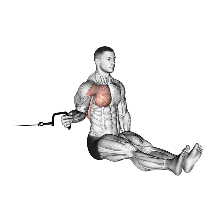 Cable Seated Shoulder Internal Rotation exercise animation (Hombre)