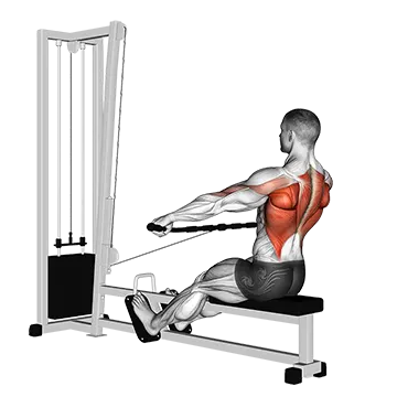Cable Seated Wide-grip Row