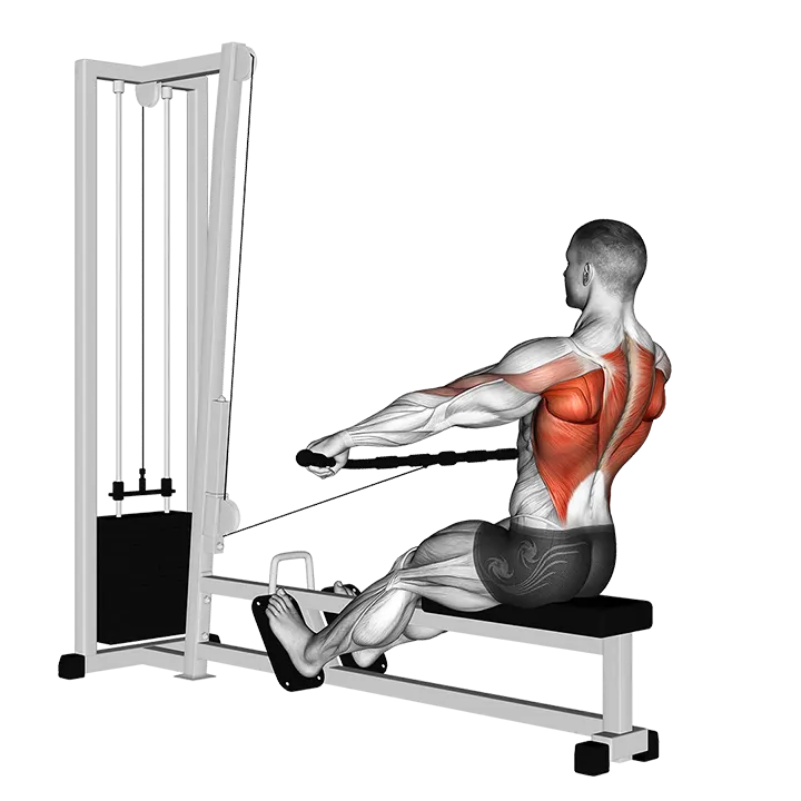 Cable Seated Wide-grip Row exercise animation (Male)