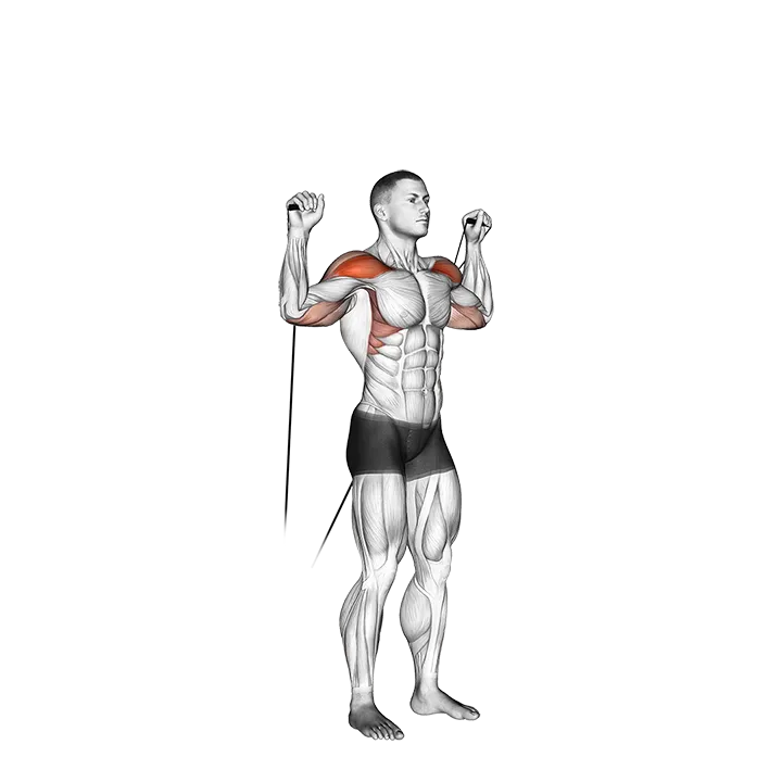 Cable Shoulder Press exercise animation (Male)
