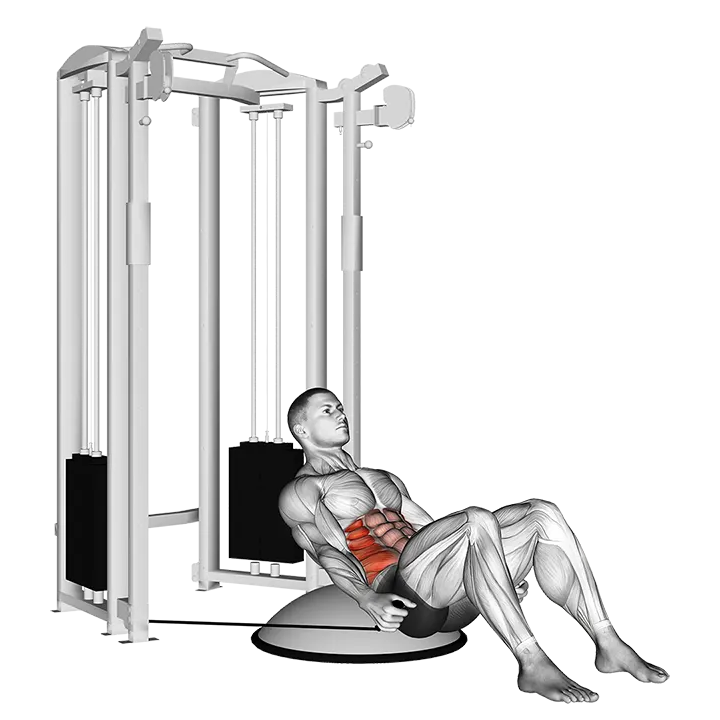 Cable Side Bend Crunch (bosu ball) exercise animation (Male)