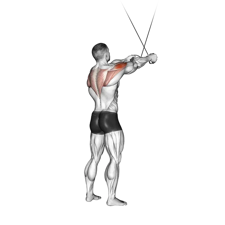 Cable Standing Cross-over High Reverse Fly exercise animation (Male)
