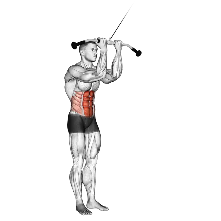 Cable Standing Crunch exercise animation (Male)