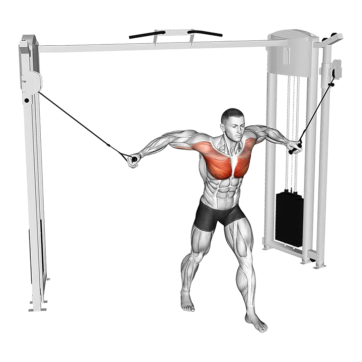 Cable Standing Fly exercise animation (Male)
