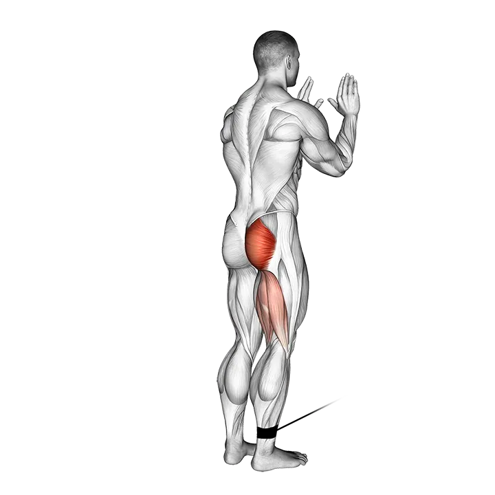 Cable Standing Hip Extension exercise animation (Male)