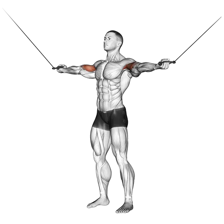 Cable Standing Inner Curl exercise animation (Male)