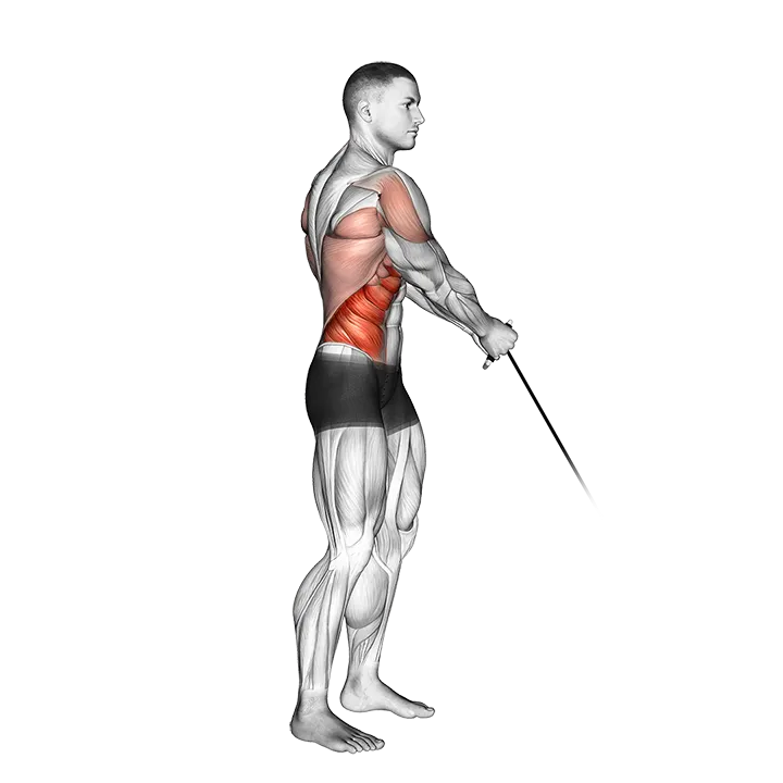 Cable Standing Lift exercise animation (Male)