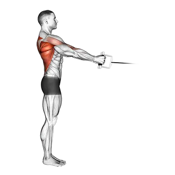 Cable Standing Row (V-bar)