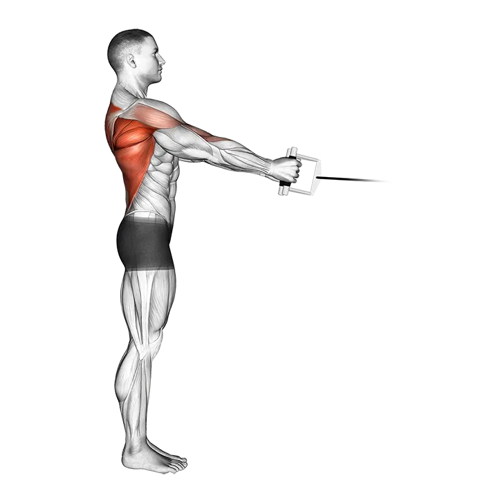 Cable Standing Row (V-bar) exercise animation (Male)