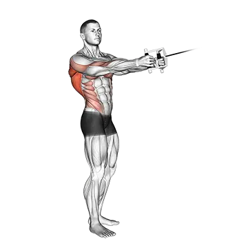 Cable Standing Twist Row (V-bar)
