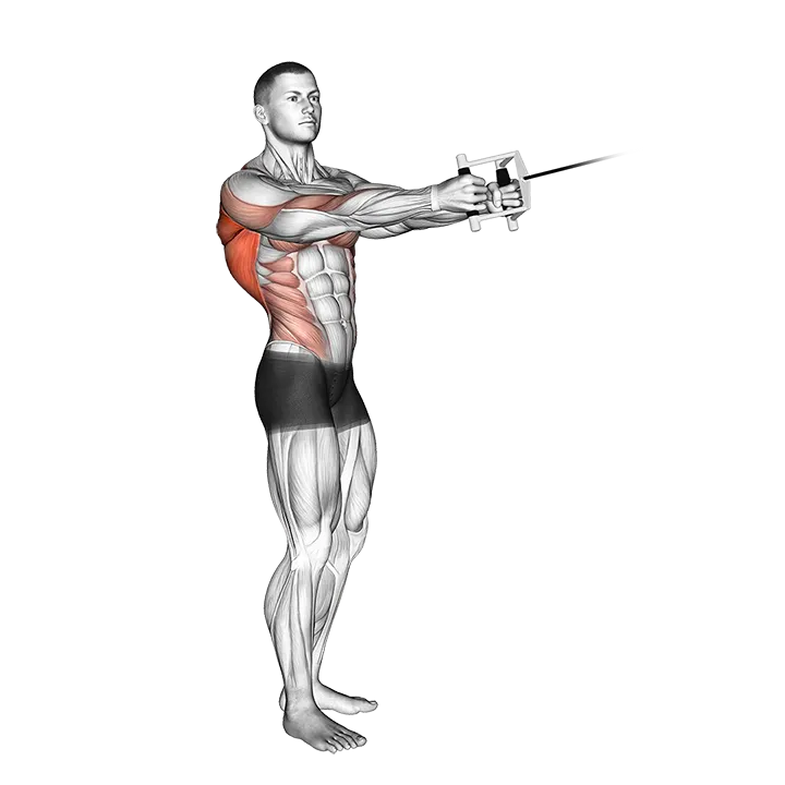 Cable Standing Twist Row (V-bar) exercise animation (Male)