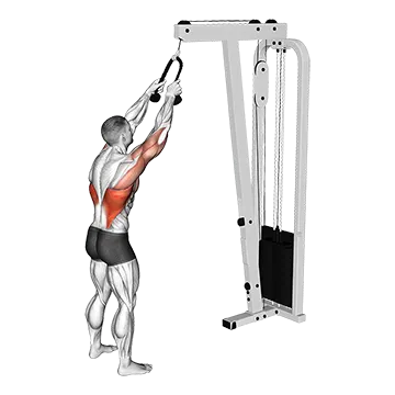 Cable Straight Arm Pulldown (with rope)