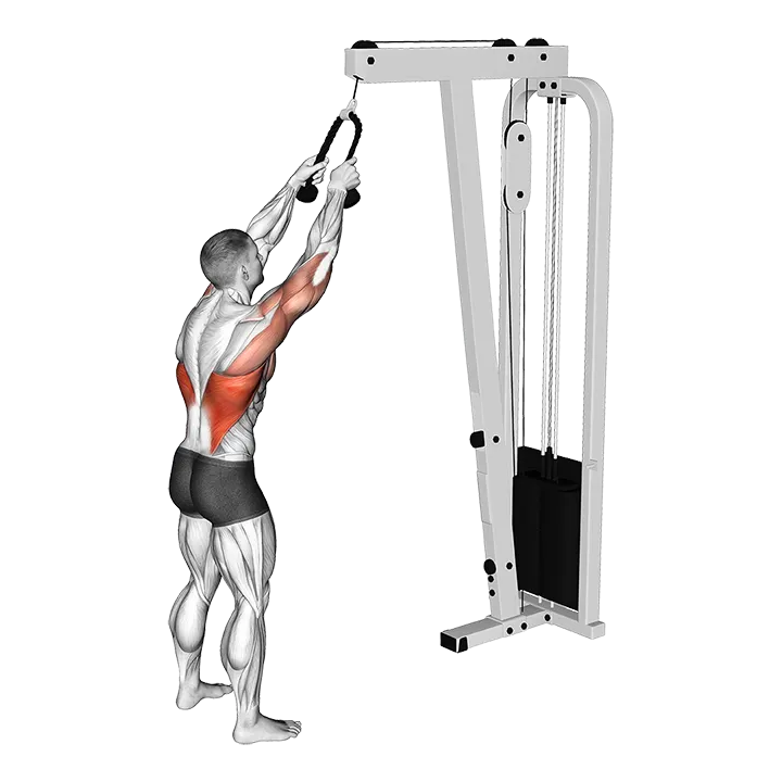 Cable Straight Arm Pulldown (with rope) exercise animation (Male)