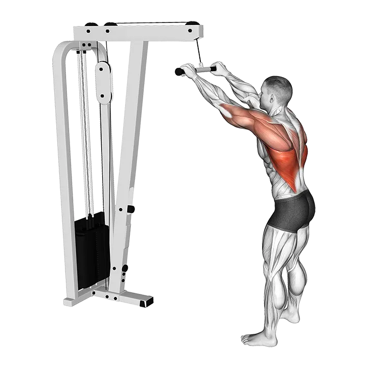Cable Straight Arm Pulldown exercise animation (Male)
