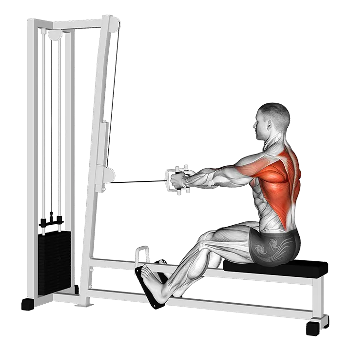 Cable Straight Back Seated Row exercise animation (Male)