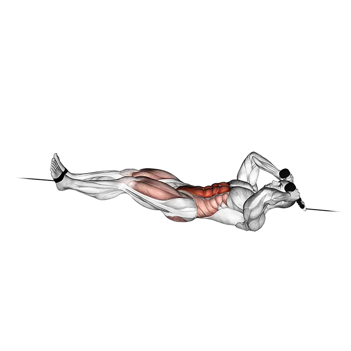 Cable Tuck Reverse Crunch exercise animation (Male)