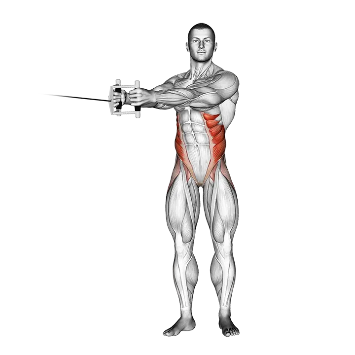 Cable Twist exercise animation (Male)