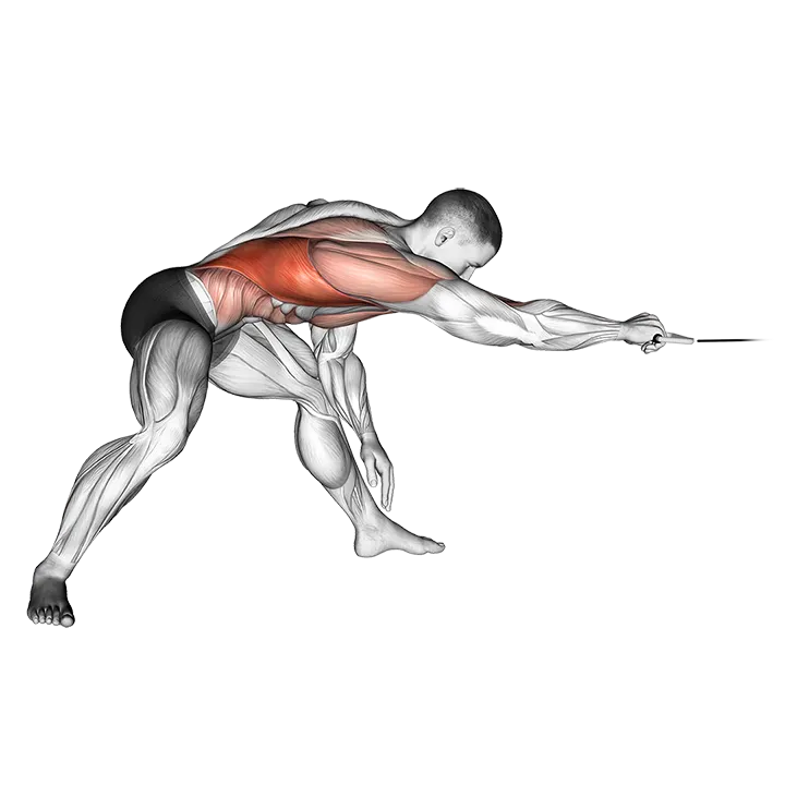 Cable Twisting Pull exercise animation (Männlich)