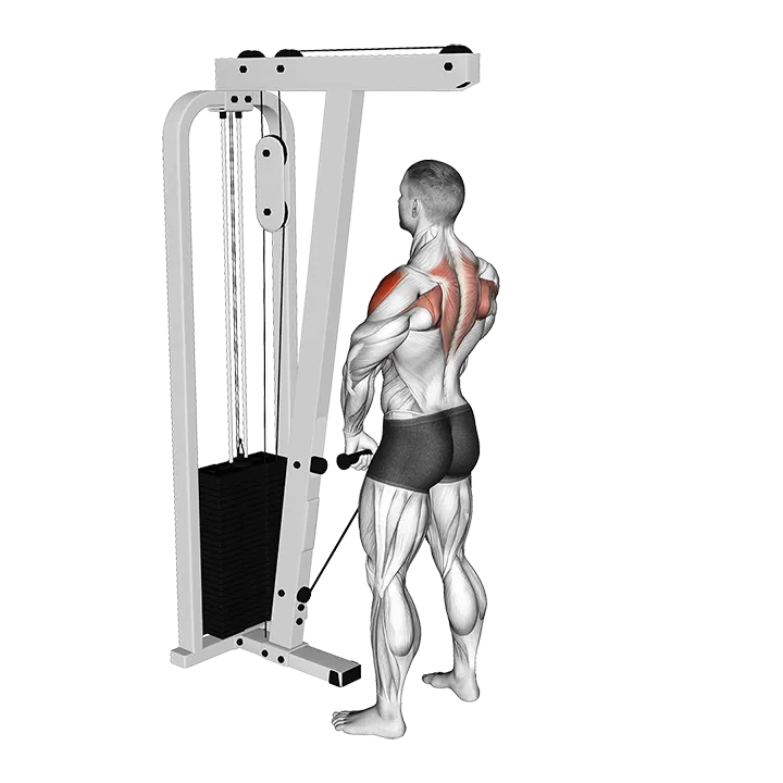 Cable Upright Row exercise animation (Male)
