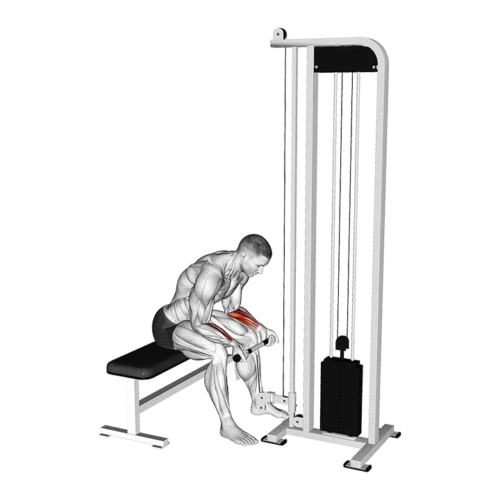 Cable Wrist Curl exercise animation (Male)