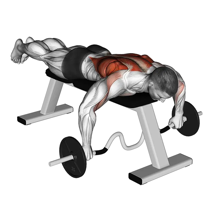 Cambered Bar Lying Row exercise animation (Male)