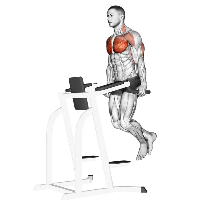 Chest Dip exercise animation (Male)