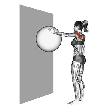 Circles Ball (wall)