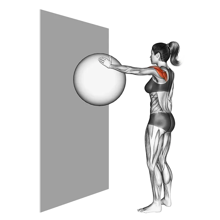 Circles Ball (wall) exercise animation (Female)