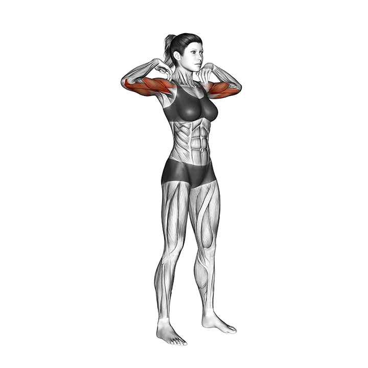 Circles Elbow Arm exercise animation (Mujer)