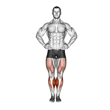 Circles Knee Stretch