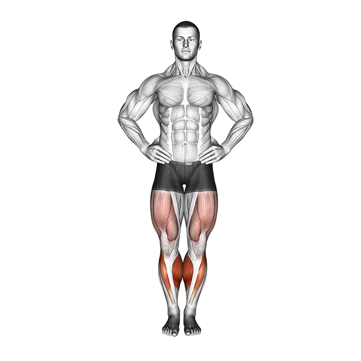 Circles Knee Stretch exercise animation (Hombre)
