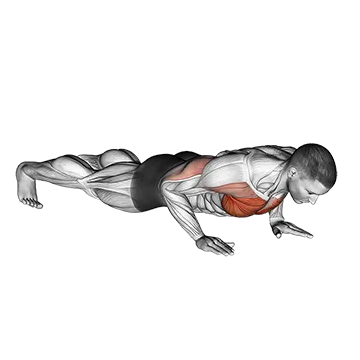 Clock Push-Up