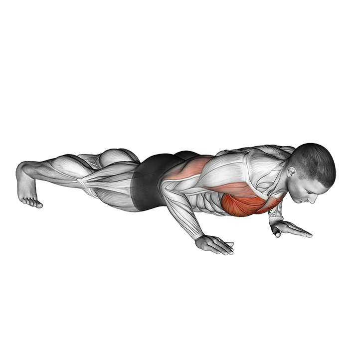 Clock Push-Up exercise animation (Male)